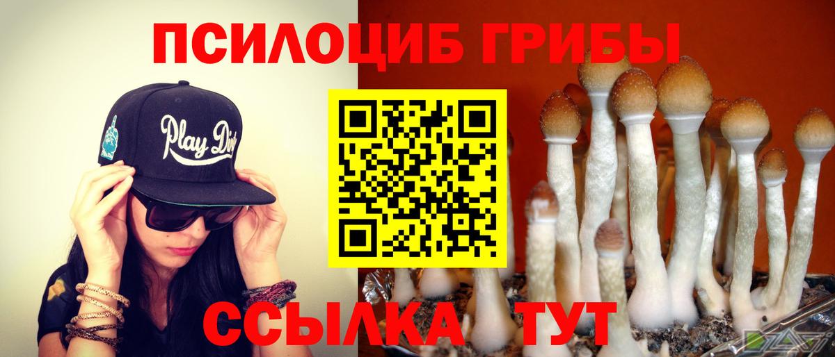 Галлюциногенные грибы ЛСД Ухта